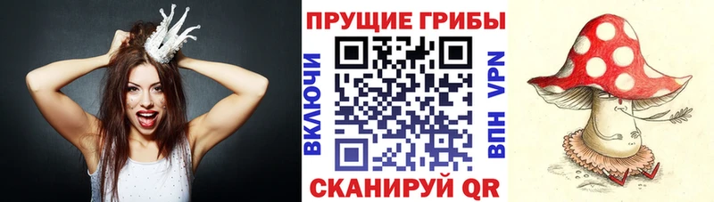 Псилоцибиновые грибы GOLDEN TEACHER  кракен   Иланский 